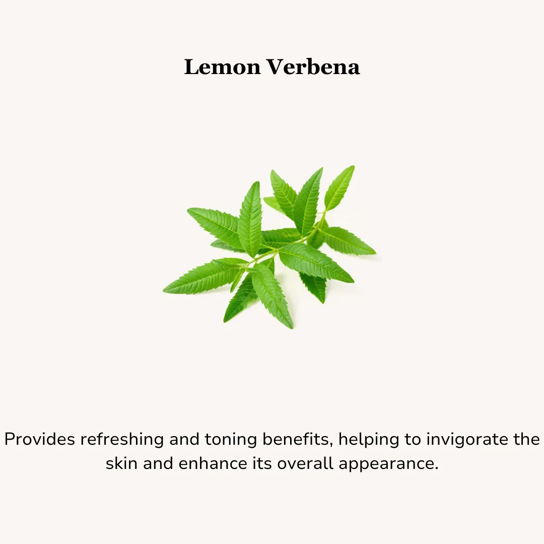 Essential Gentle Cleanser