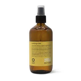 Molding Mist 240 ml